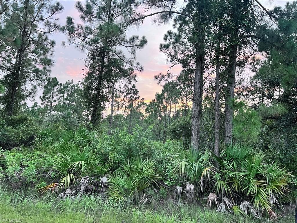 214 Louis AVE LEHIGH ACRES, FL 33936