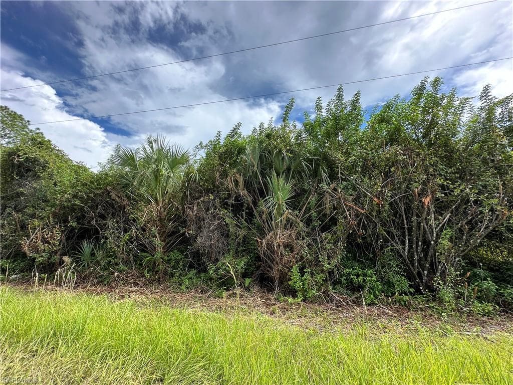 523 Woodman DR LEHIGH ACRES, FL 33972