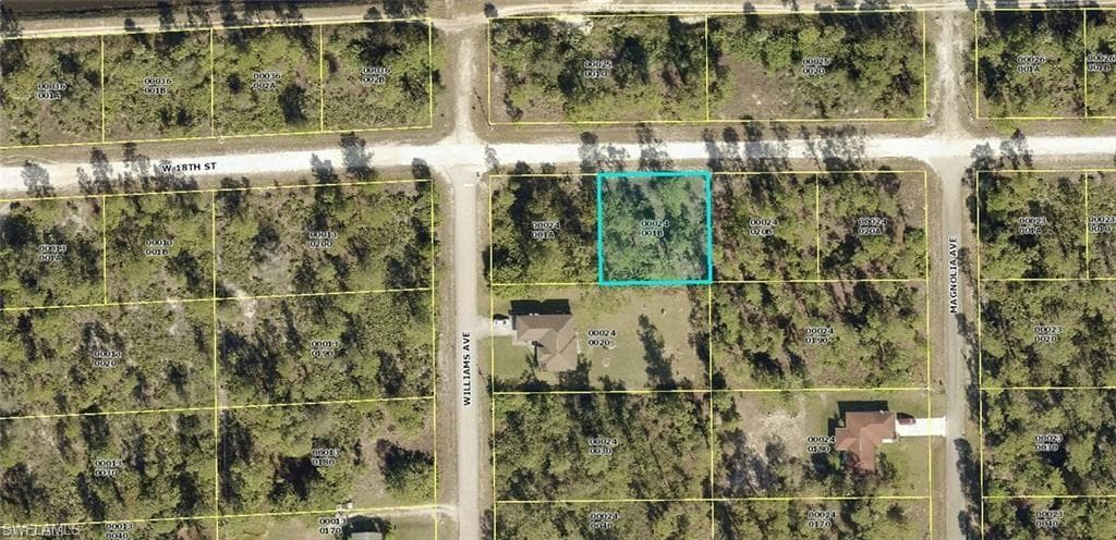 1005 W 18th ST LEHIGH ACRES, FL 33972