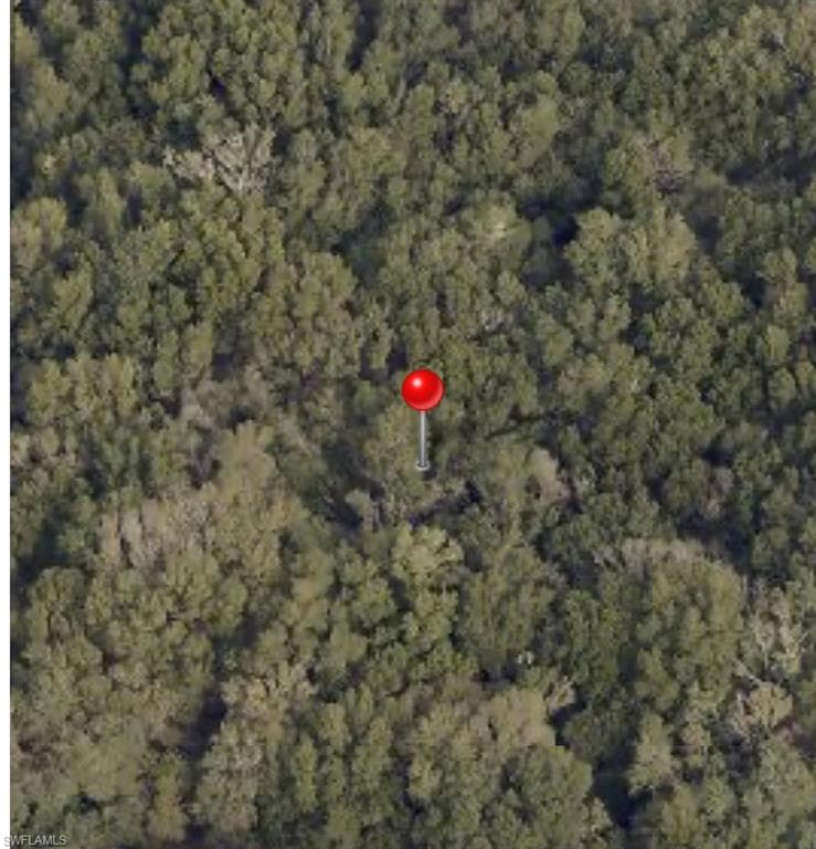 Bessie Dix RD SEFFNER, FL 33584
