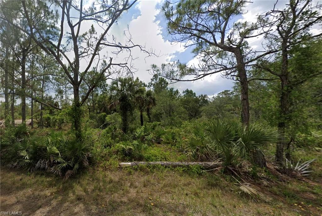 2313 Wells AVE ALVA, FL 33920