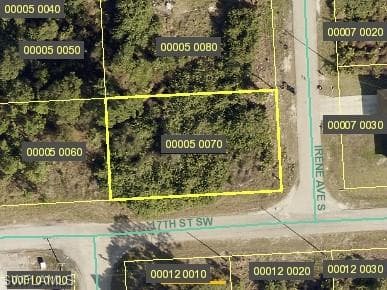1610 Irene AVE S LEHIGH ACRES, FL 33976