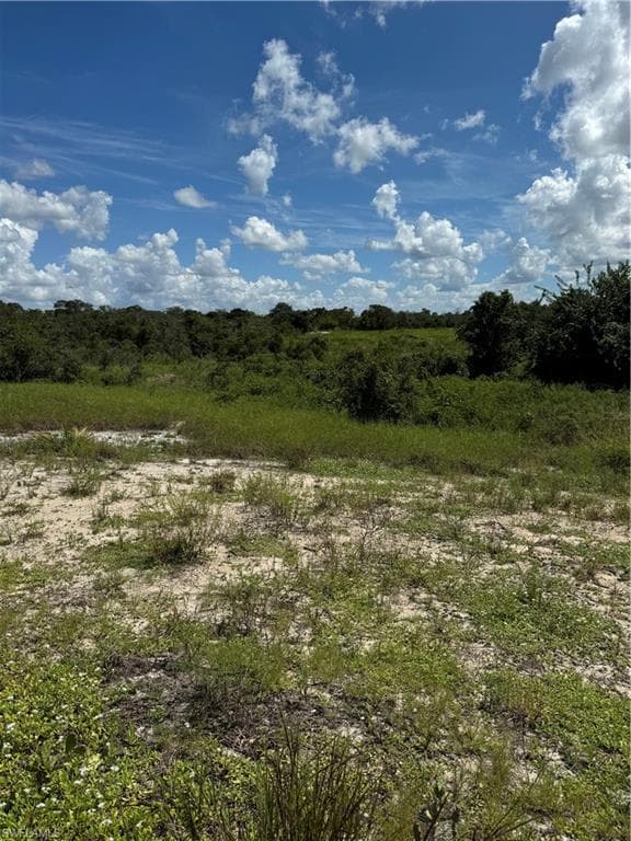 213 Polk ST LAKE PLACID, FL 33852