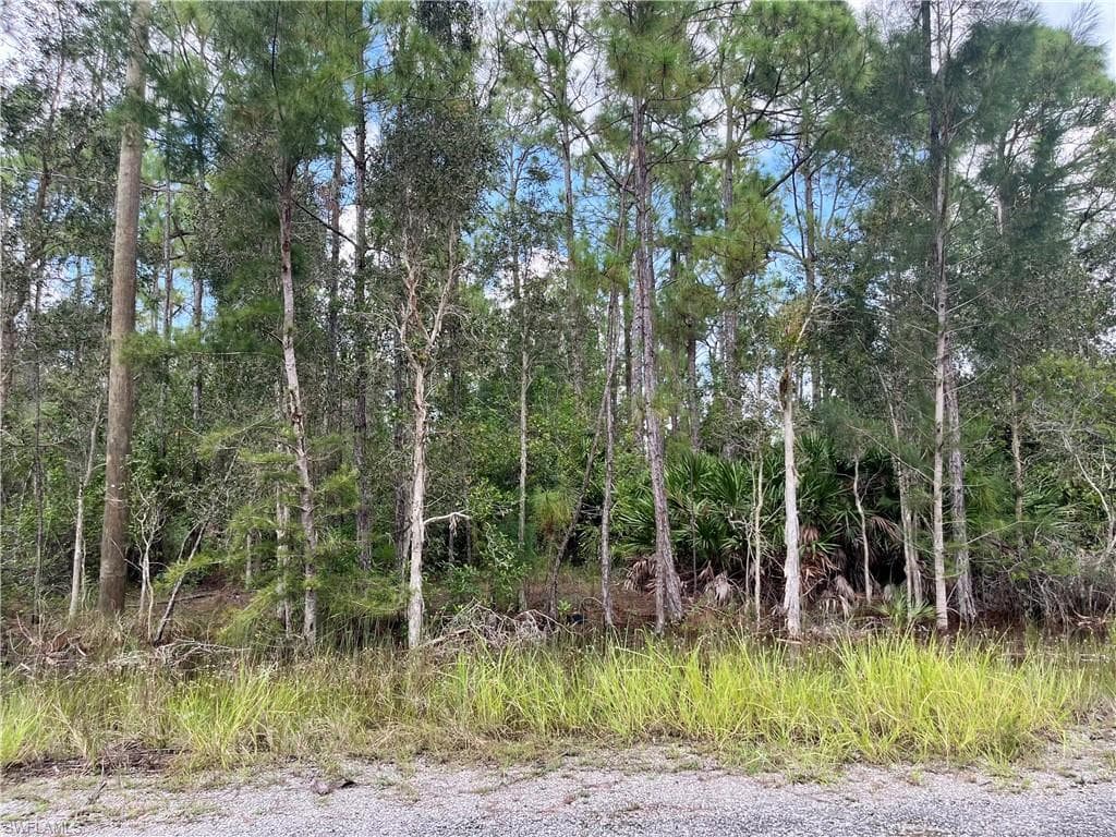 302 Rosanna AVE LEHIGH ACRES, FL 33972