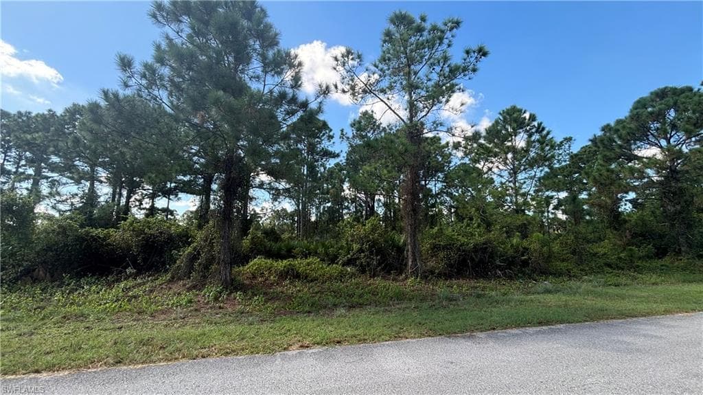 1054 Venture ST LEHIGH ACRES, FL 33974