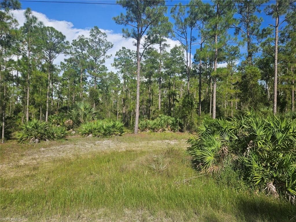 2306 Hamilton AVE ALVA, FL 33920