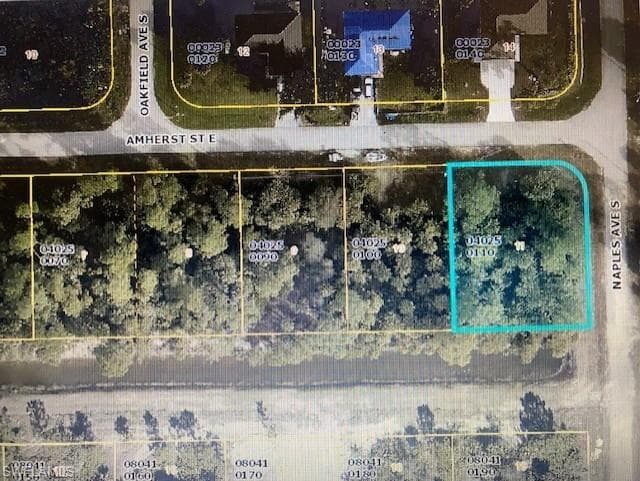 1256 Amherst ST E LEHIGH ACRES, FL 33974