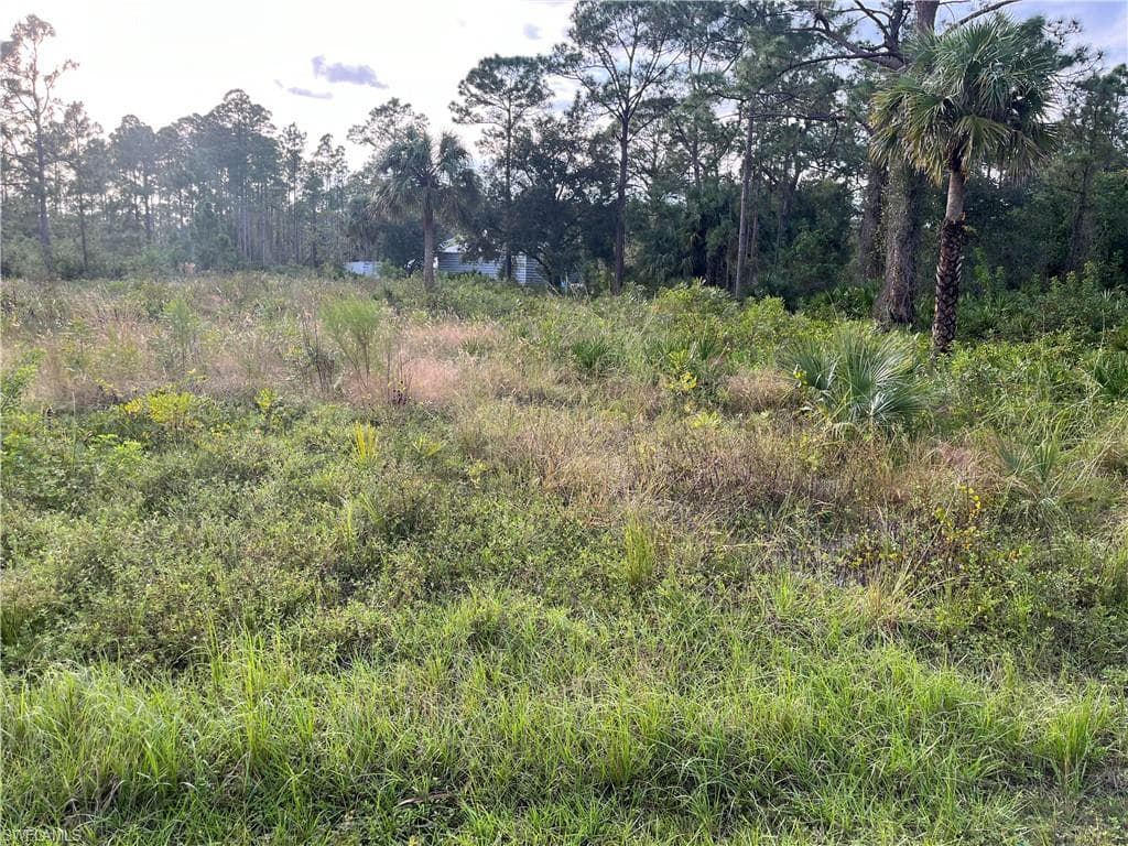 2117 Moore AVE ALVA, FL 33920
