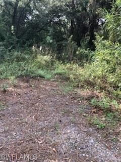 810 N Zambria ST CLEWISTON, FL 33440