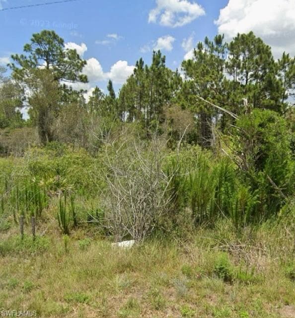 927 Grafton ST LEHIGH ACRES, FL 33974