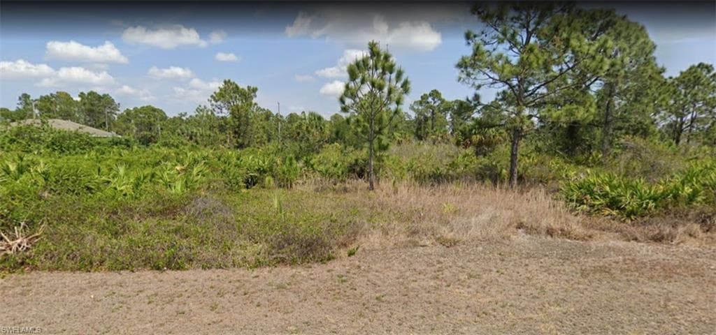 1143 Garibaldi ST E LEHIGH ACRES, FL 33974