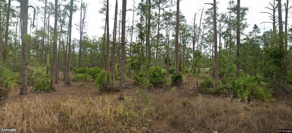 1302 Broadway AVE LEHIGH ACRES, FL 33972
