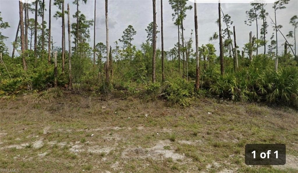 1253 Edna ST E LEHIGH ACRES, FL 33974