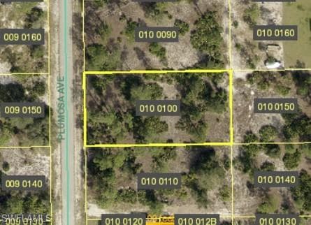 1604 Plumosa AVE LEHIGH ACRES, FL 33972