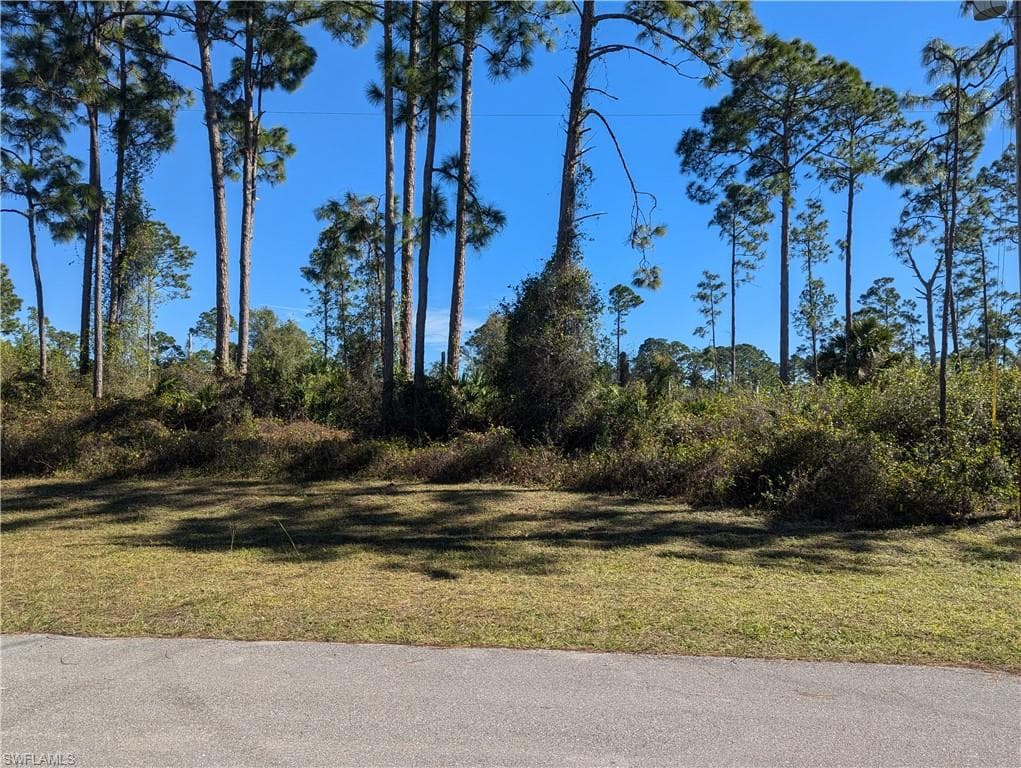 817 Pinecastle DR LEHIGH ACRES, FL 33974