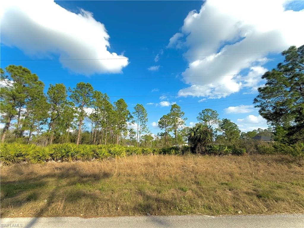 235 Narthex AVE S LEHIGH ACRES, FL 33974