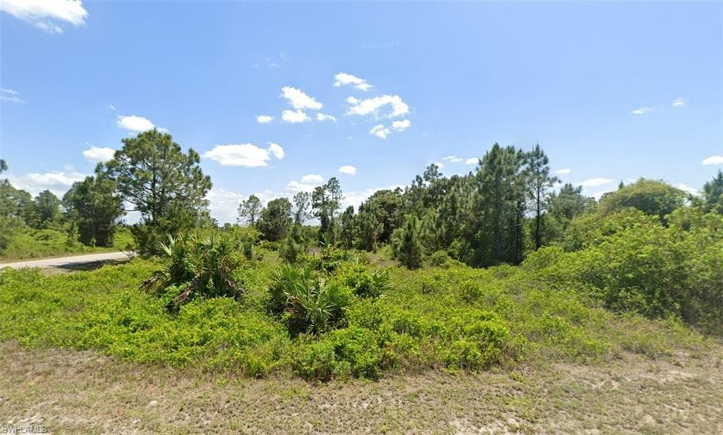 874 Chezy ST E LEHIGH ACRES, FL 33974