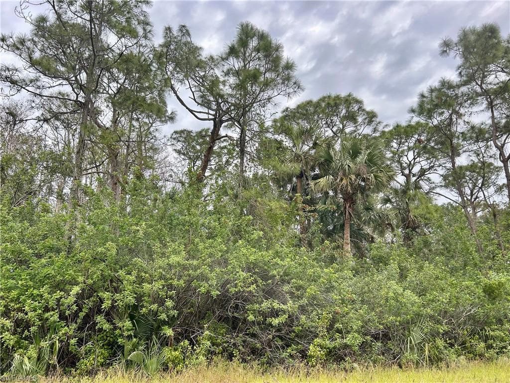 514 Woodman DR LEHIGH ACRES, FL 33972