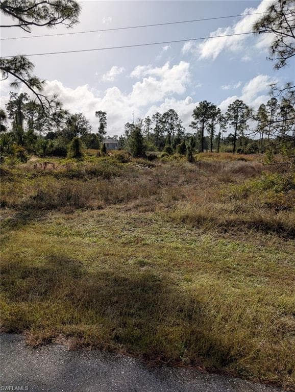 1040 Pine Cove DR LEHIGH ACRES, FL 33974