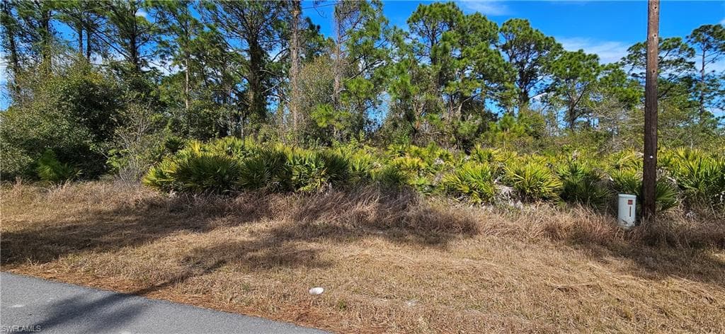 827 Cadis ST E LEHIGH ACRES, FL 33974