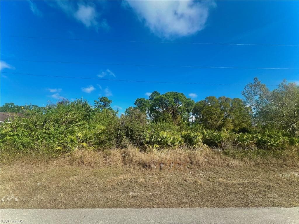 763 Clancy ST E LEHIGH ACRES, FL 33974