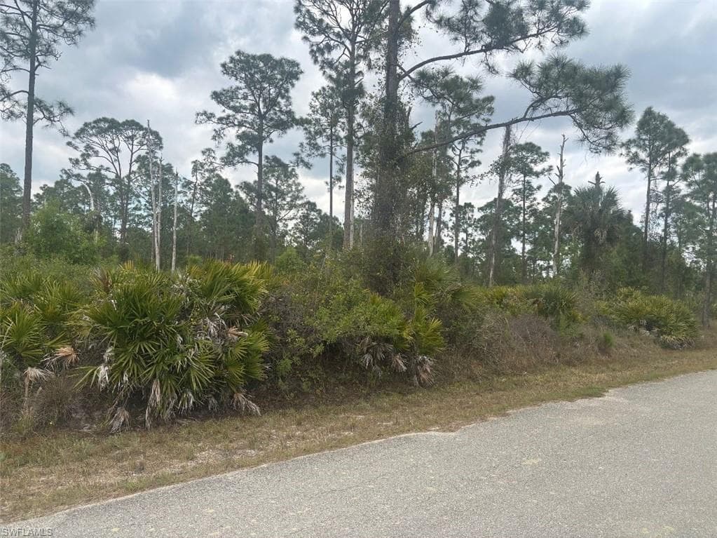1105 Plumosa AVE LEHIGH ACRES, FL 33972