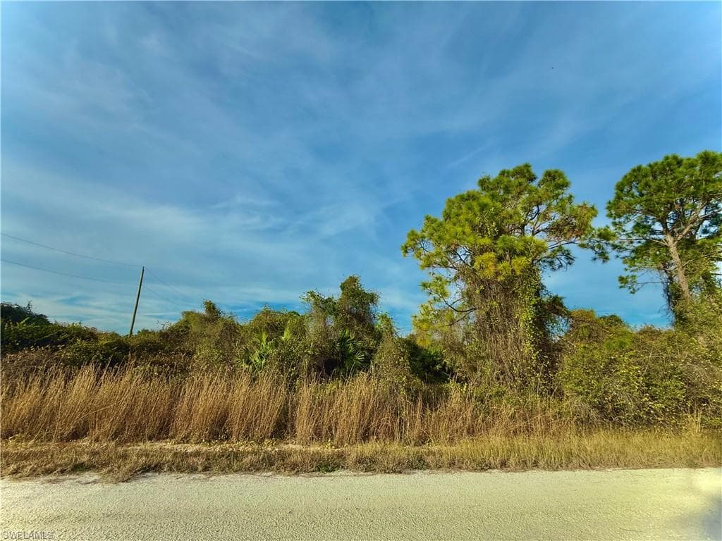 4187 E 31st ST ALVA, FL 33920