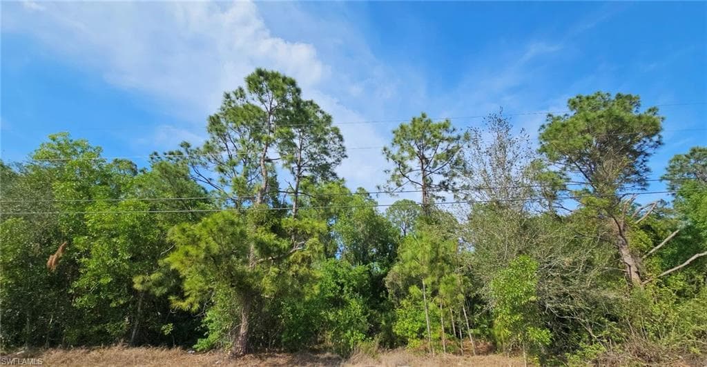 4306 2nd ST SW LEHIGH ACRES, FL 33976