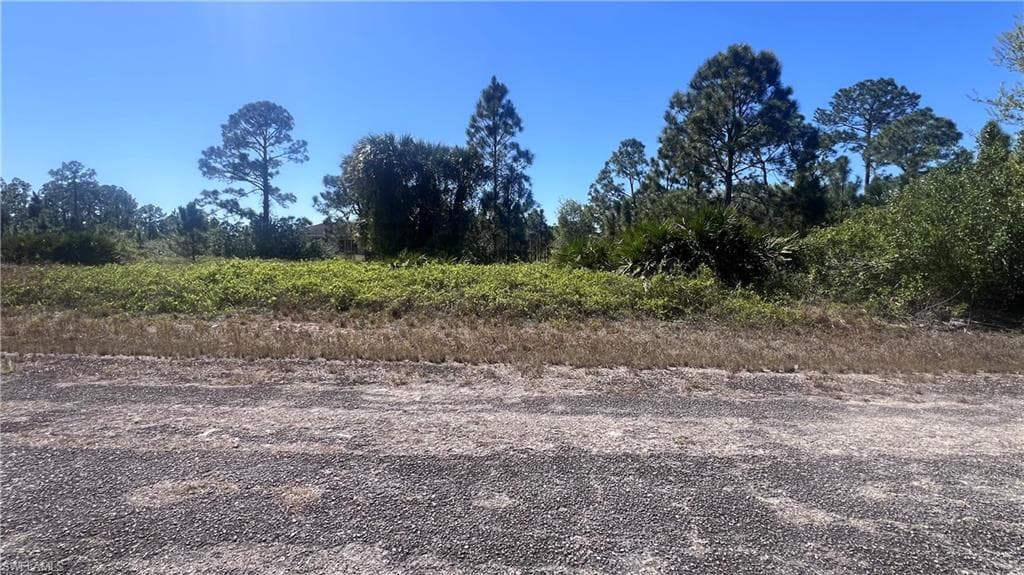 636 Mulberry AVE S LEHIGH ACRES, FL 33974