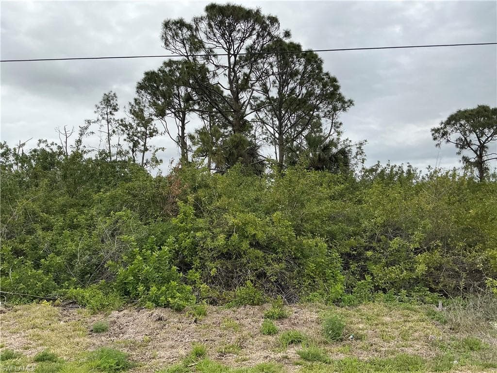 3006 38th ST SW LEHIGH ACRES, FL 33976