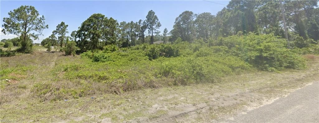 732 Foxtail ST E LEHIGH ACRES, FL 33974