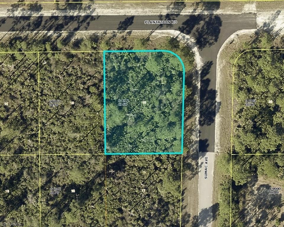 1116 Plantation RD LEHIGH ACRES, FL 33974