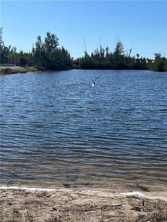 2753 Mangrove ST ST. JAMES CITY, FL 33956
