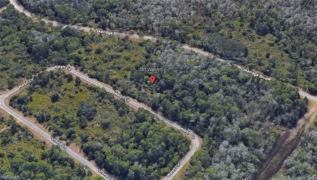 381 Walsh CIR LEHIGH ACRES, FL 33972