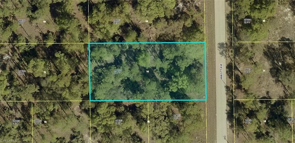 1003 Abbott AVE LEHIGH ACRES, FL 33972