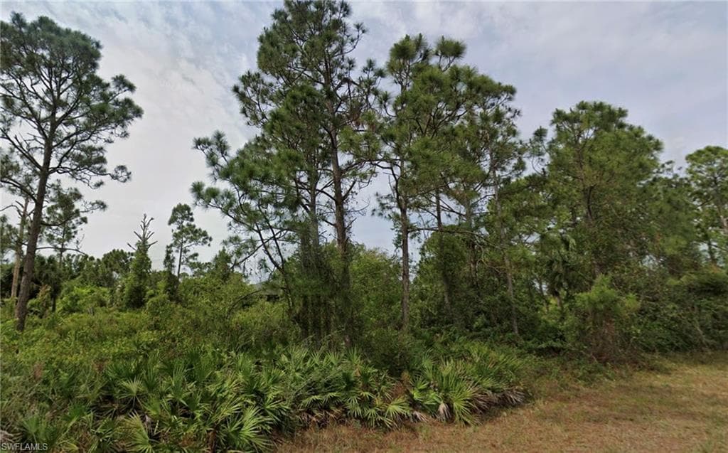 1114 Eclipse ST E LEHIGH ACRES, FL 33974