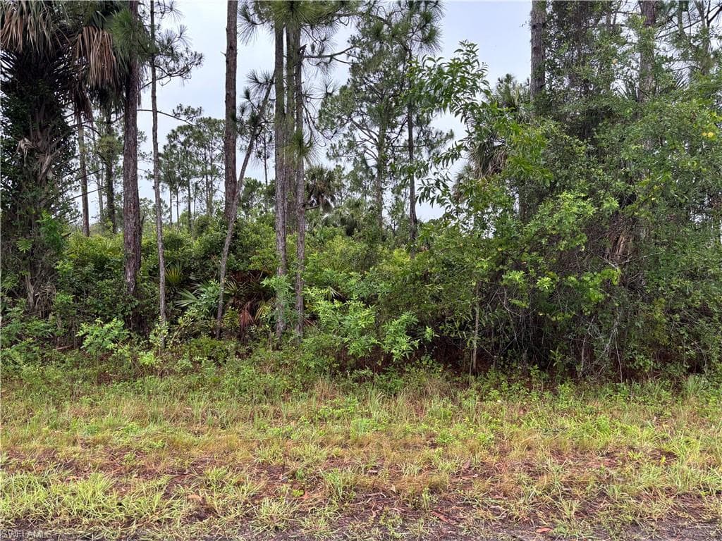 868 Audrey ST E LEHIGH ACRES, FL 33974