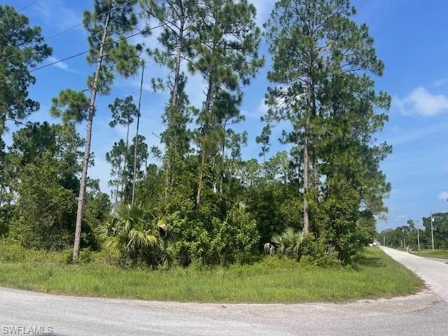 1010 Manikin AVE S LEHIGH ACRES, FL 33974
