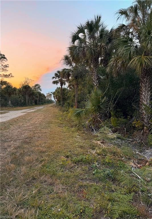 4187 36TH AVE SE NAPLES, FL 34117