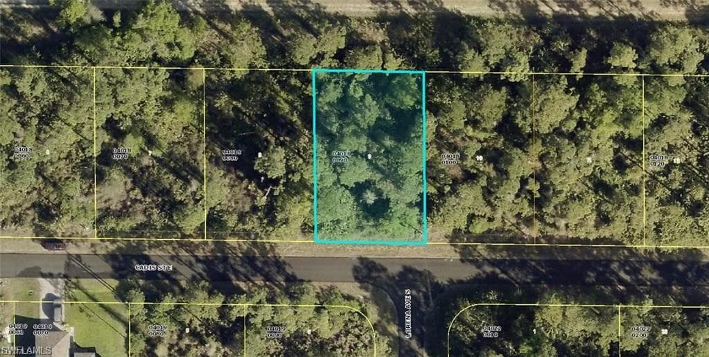 859 Cadis ST E LEHIGH ACRES, FL 33974