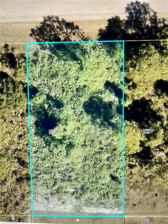 1114 Colonial ST E LEHIGH ACRES, FL 33974