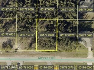 4235 NW 24th TER CAPE CORAL, FL 33993