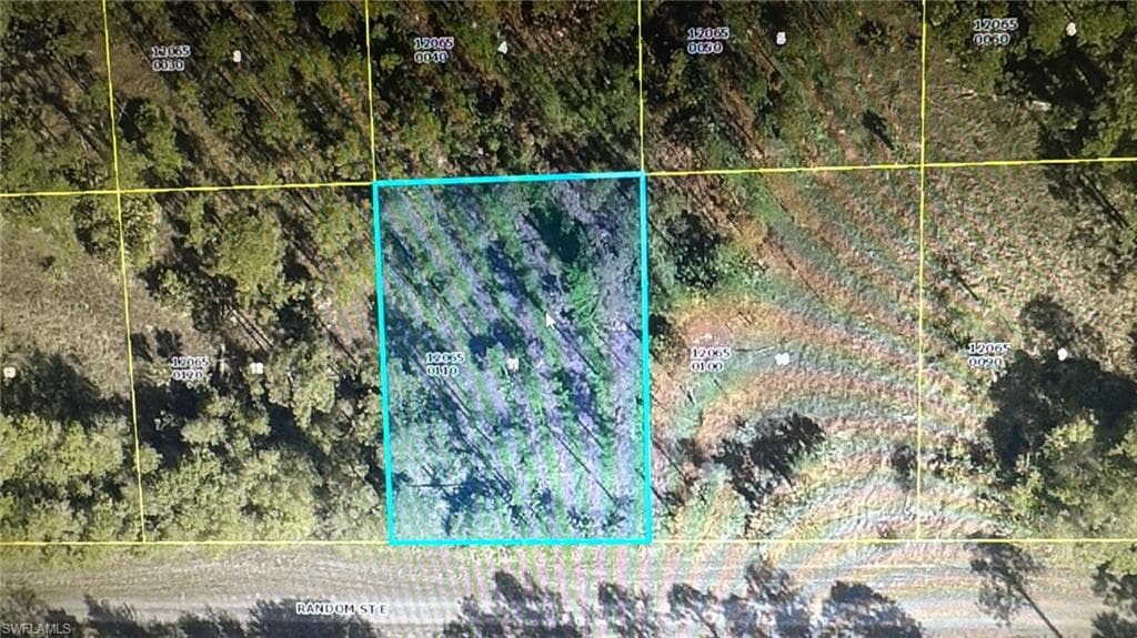 1243 Random ST E LEHIGH ACRES, FL 33974