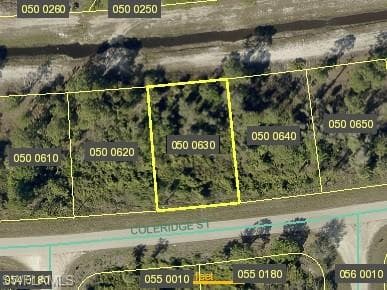 1031 Coleridge ST LEHIGH ACRES, FL 33974