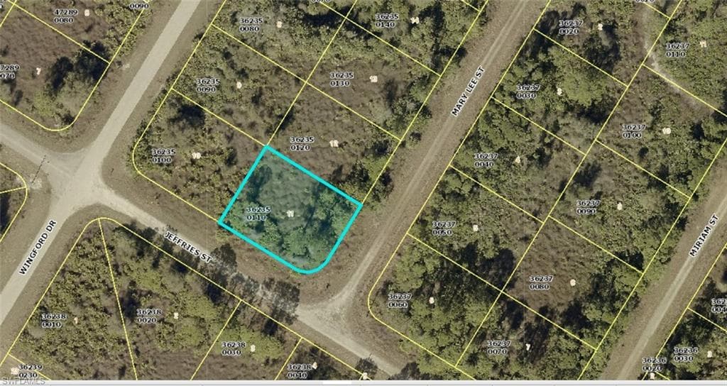 1917 Mary Lee ST LEHIGH ACRES, FL 33972