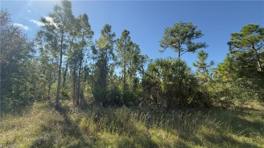 2402 E 10th ST LEHIGH ACRES, FL 33936