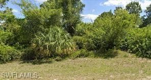 870 Sunrise BLVD LEHIGH ACRES, FL 33974