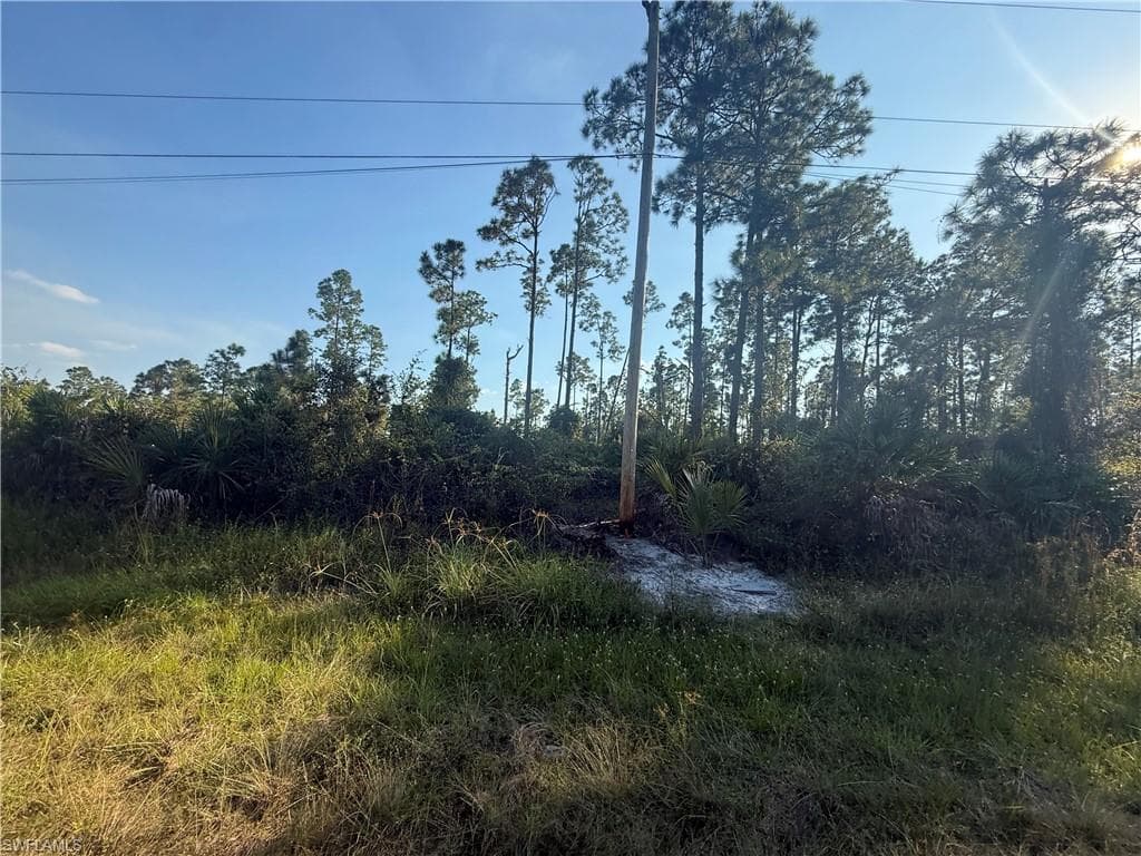 1084/1086 Ainsworth ST E LEHIGH ACRES, FL 33974
