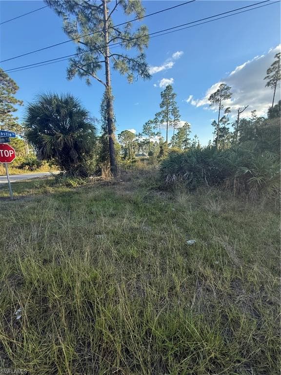 1088/1090 Ainsworth ST E LEHIGH ACRES, FL 33974