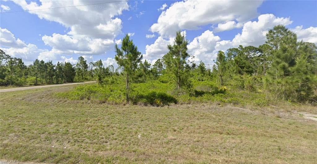 1135 Darling ST E LEHIGH ACRES, FL 33974